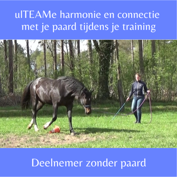 workshop BE/NL - dorien lambrechts - annelieke stoop - horsemanship - equissage - paardentraining - paardenmassage