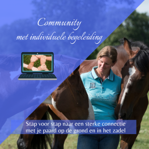 dorien lambrechts - paardentraining - coaching en begeleiding - verbinding - groep - gelijkgestemde paardenmensen - community met begeleiding